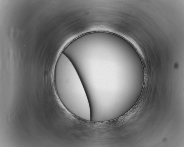 X0000100190815200805300723