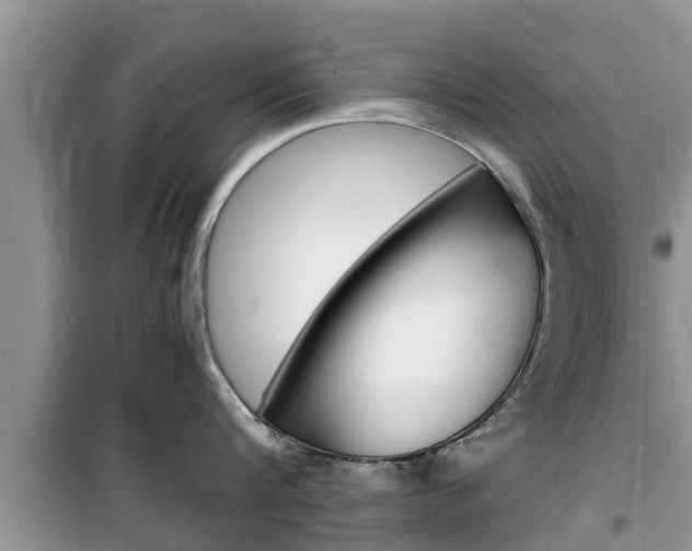 X0000100190816200805300723