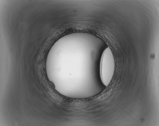 X0000100190817200805300722
