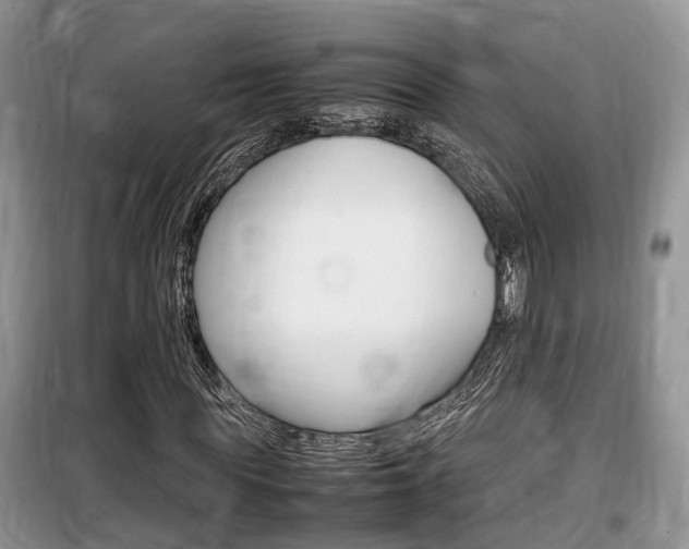 X0000100190819200805300722
