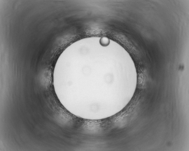 X0000100190820200805300722