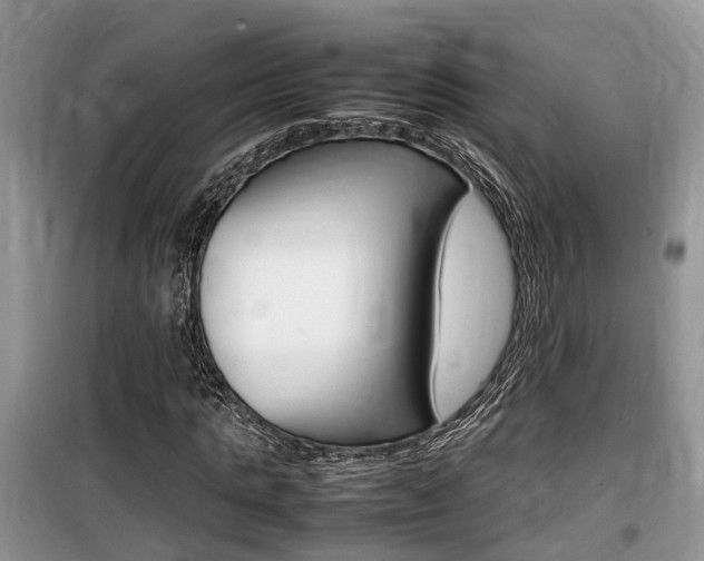 X0000100190821200805300722