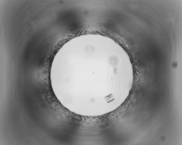 X0000100190824200805300722