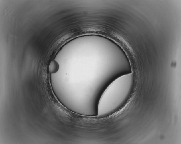 X0000100190825200805300722