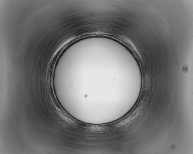 X0000100190827200805300722