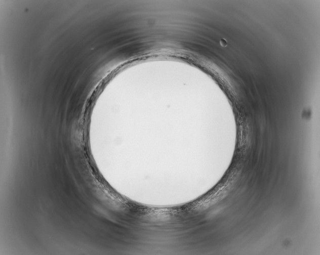 X0000100190828200805300722