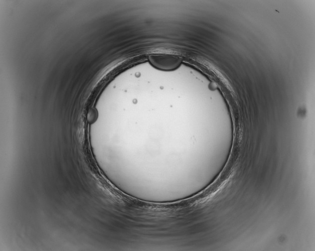 X0000100190829200805300722