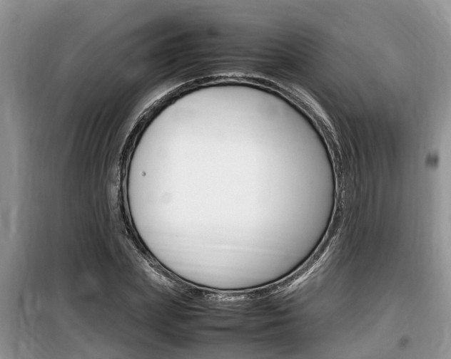 X0000100190831200805300722