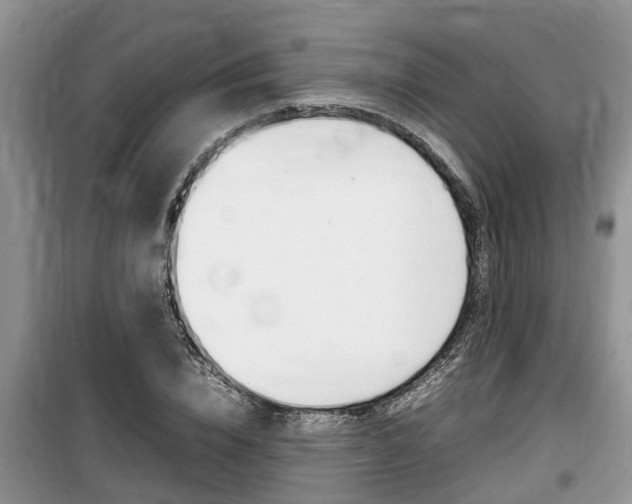 X0000100190832200805300722