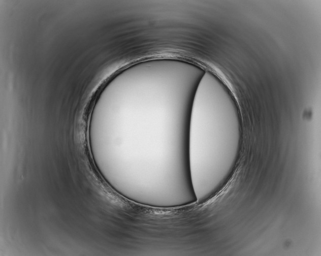 X0000100190835200805300722