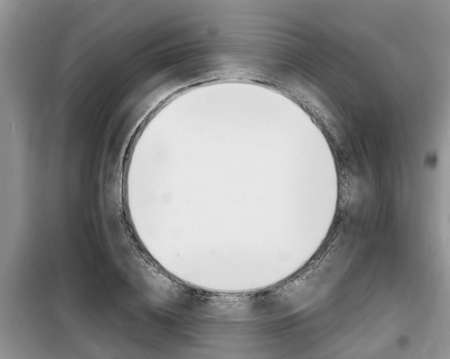 X0000100190836200805300723