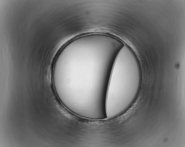 X0000100190838200805300723