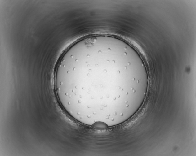 X0000100190839200805300723