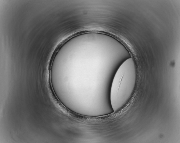 X0000100190840200805300723