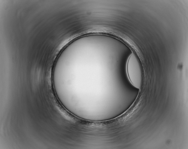 X0000100190842200805300723