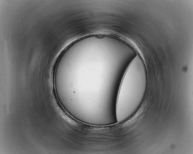 X0000100190843200805300723