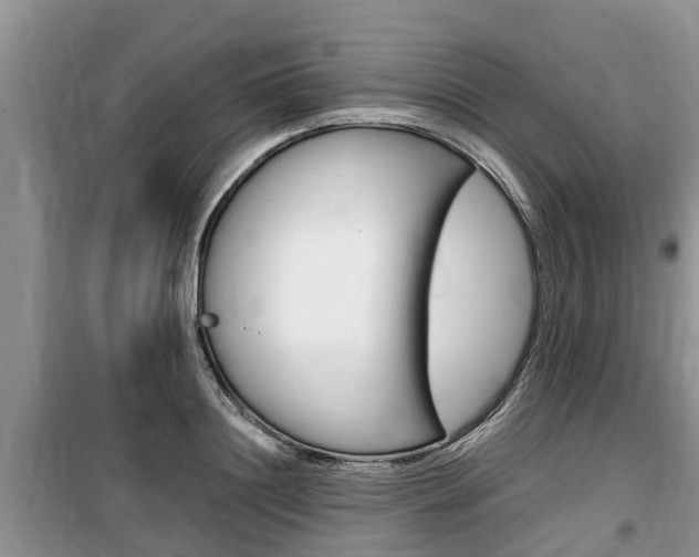 X0000100190844200805300723