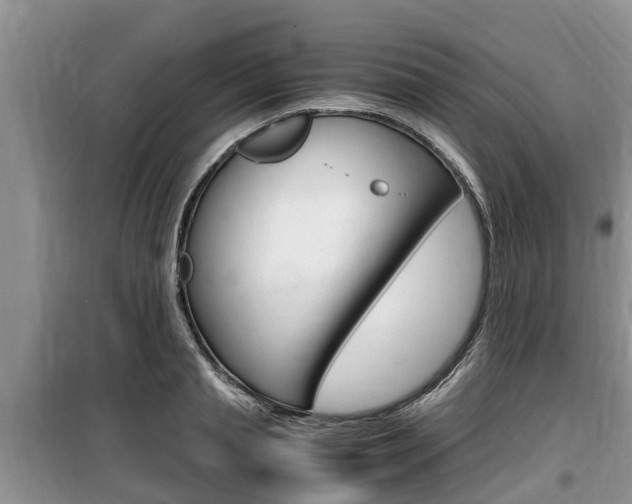 X0000100190845200805300723