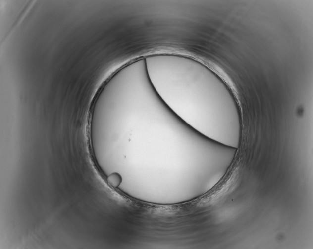 X0000100190847200805300723