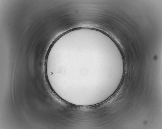X0000100190848200805300723