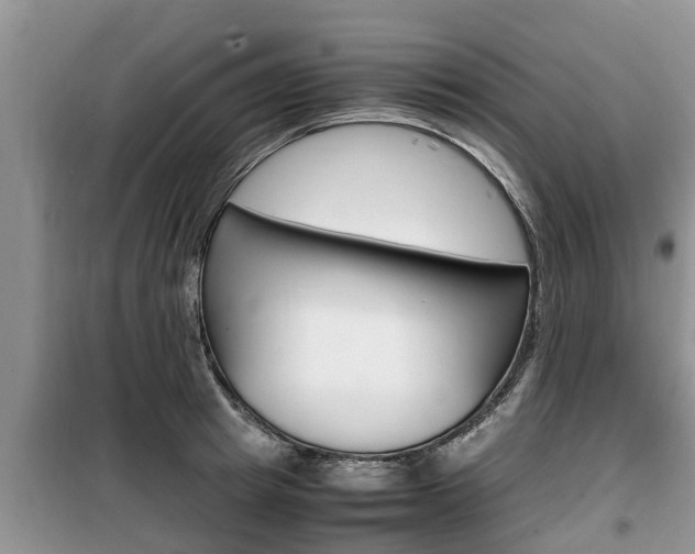 X0000100190849200805300723