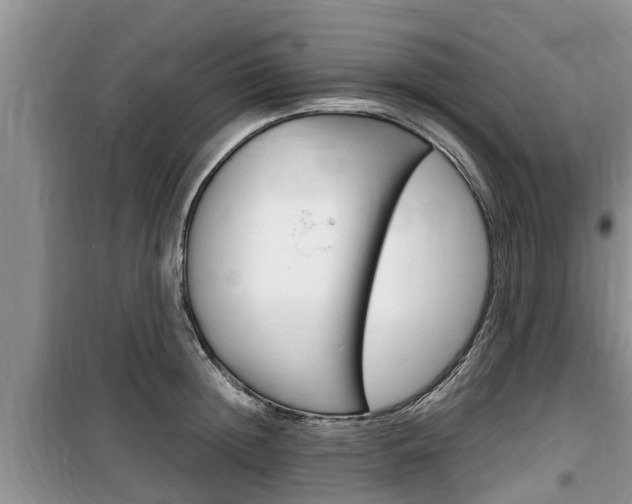 X0000100190852200805300723