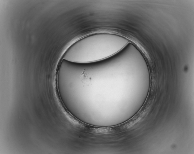 X0000100190853200805300723