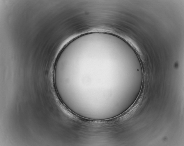 X0000100190854200805300723