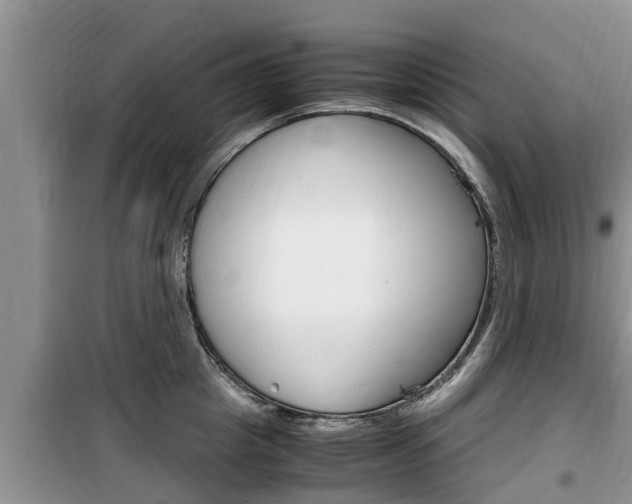 X0000100190857200805300723
