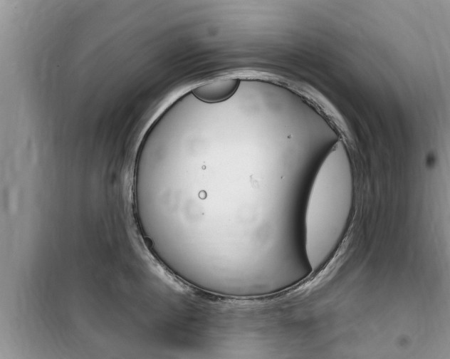 X0000100190860200805300723