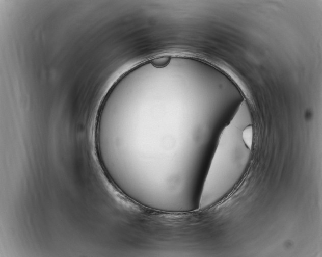 X0000100190861200805300723