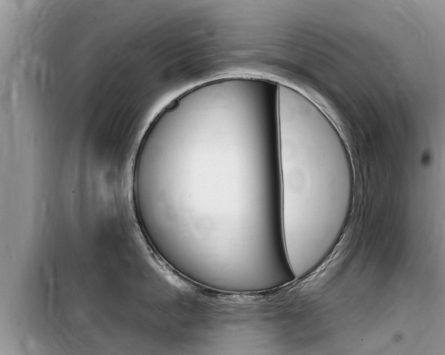X0000100190862200805300723