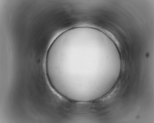 X0000100190863200805300723