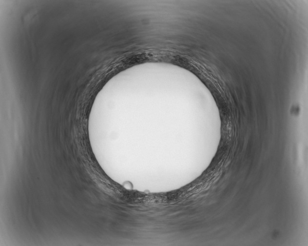 X0000100190865200805300722