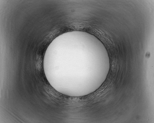 X0000100190866200805300722