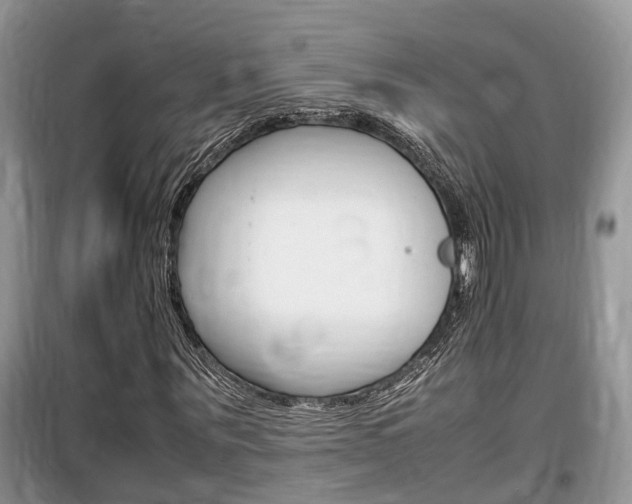 X0000100190867200805300722