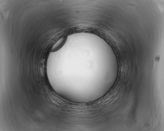 X0000100190868200805300722