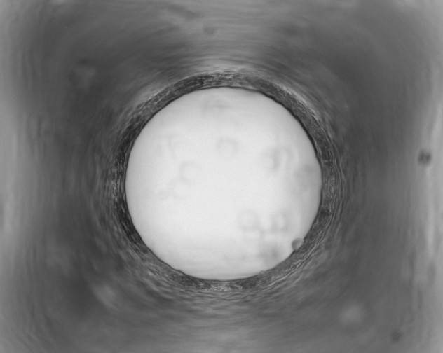 X0000100190869200805300722