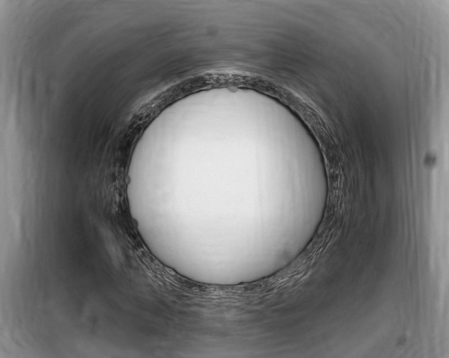 X0000100190870200805300722