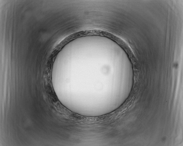 X0000100190871200805300722