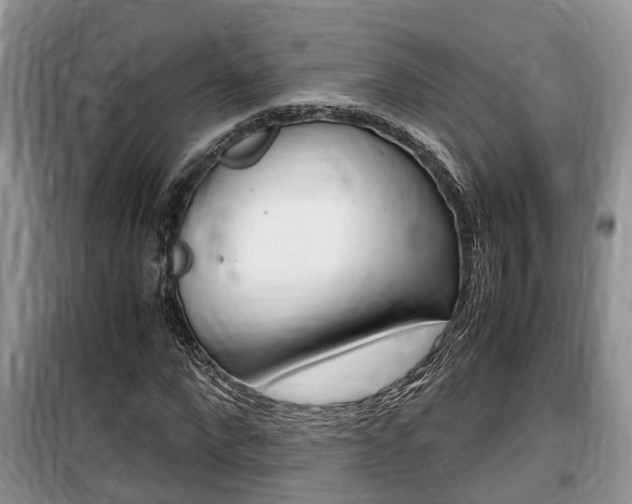 X0000100190872200805300722