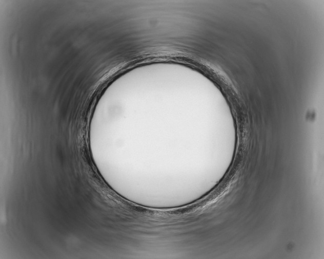 X0000100190873200805300722
