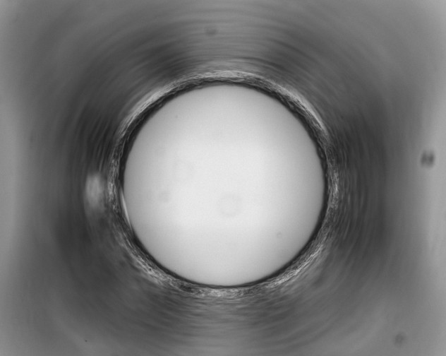 X0000100190874200805300722