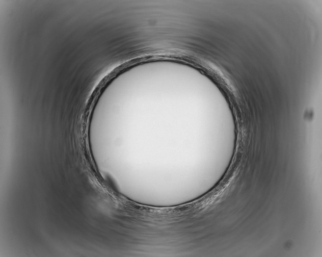 X0000100190875200805300722