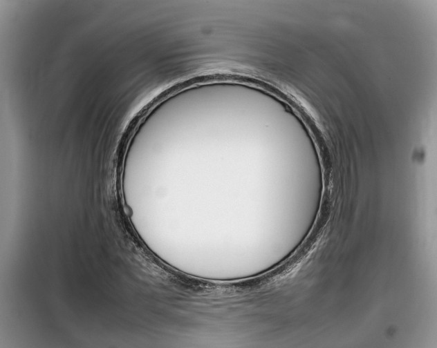 X0000100190877200805300722