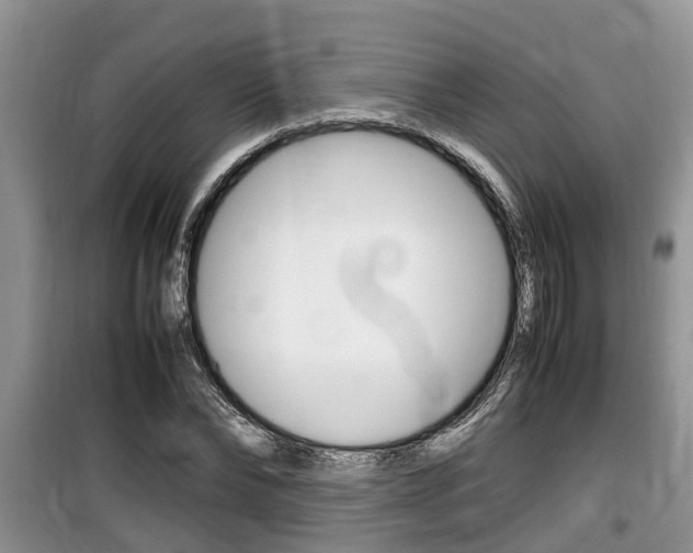 X0000100190878200805300722