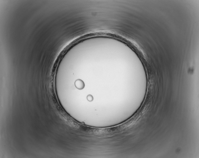 X0000100190879200805300722