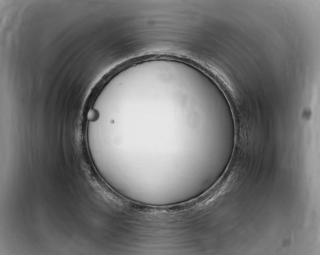 X0000100190880200805300722