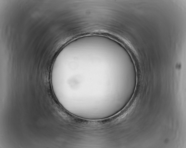 X0000100190881200805300722