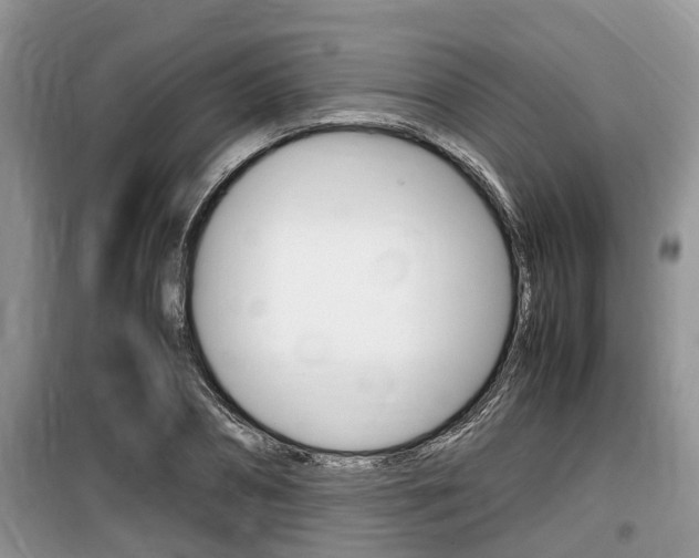 X0000100190882200805300722
